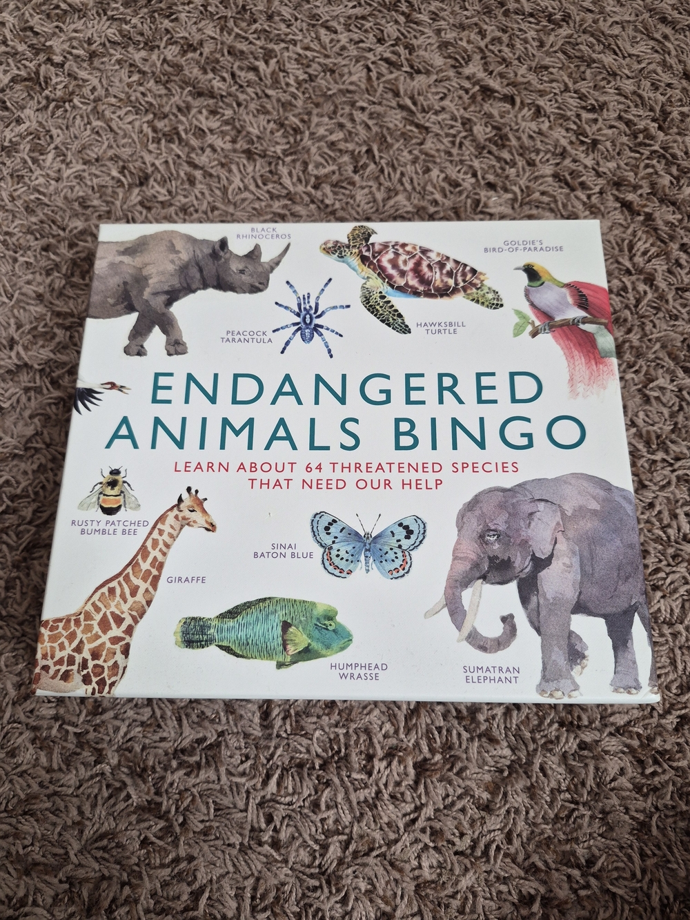 Endangered Animals Bingo - Educational Kids Toy (White)
